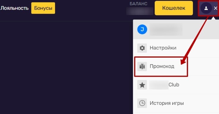 Поле ввода промокодов